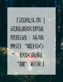 清风头条｜武陵源区锣鼓塔街道：环境整治“暖民心” 辖区面貌“靓”起来