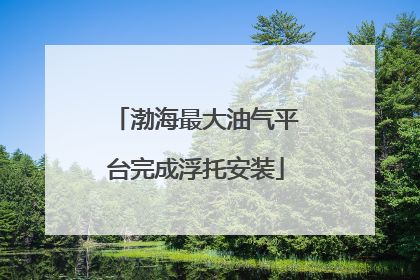 渤海最大油气平台完成浮托安装
