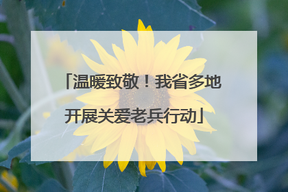 温暖致敬！我省多地开展关爱老兵行动