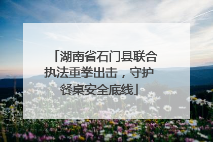 湖南省石门县联合执法重拳出击，守护餐桌安全底线