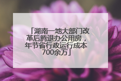 湖南一地大部门改革后腾退办公用房，年节省行政运行成本700余万