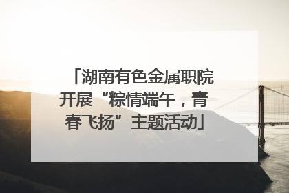 湖南有色金属职院开展“粽情端午，青春飞扬”主题活动