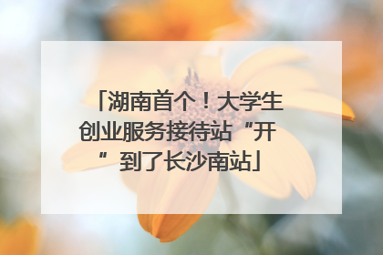 湖南首个！大学生创业服务接待站“开”到了长沙南站