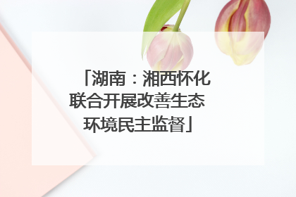 湖南：湘西怀化联合开展改善生态环境民主监督
