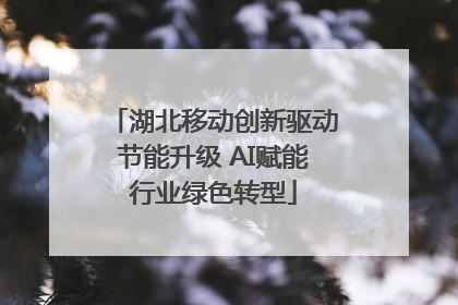 湖北移动创新驱动节能升级 AI赋能行业绿色转型