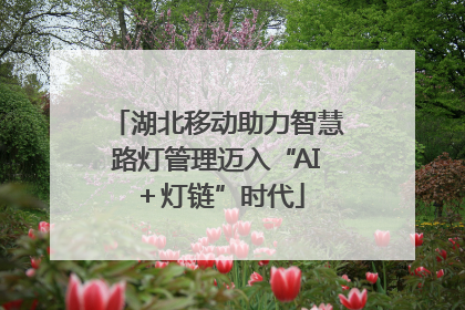 湖北移动助力智慧路灯管理迈入“AI＋灯链”时代
