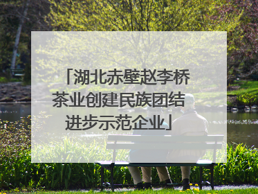 湖北赤壁赵李桥茶业创建民族团结进步示范企业