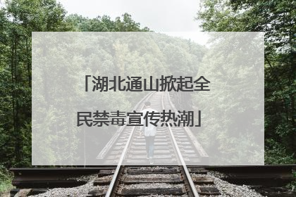 湖北通山掀起全民禁毒宣传热潮
