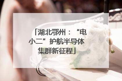 湖北鄂州：“电小二”护航半导体集群新征程
