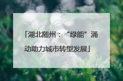湖北随州：“绿能”涌动助力城市转型发展