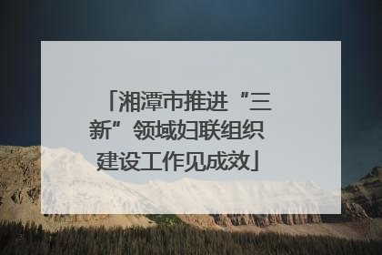 湘潭市推进“三新”领域妇联组织建设工作见成效