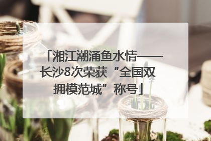 湘江潮涌鱼水情——长沙8次荣获“全国双拥模范城”称号