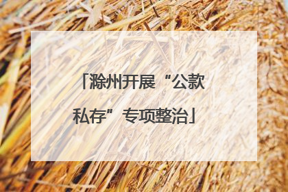 滁州开展“公款私存”专项整治