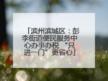 滨州滨城区：彭李街道便民服务中心办事办税 “只进一门”更省心