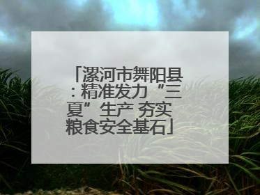 漯河市舞阳县：精准发力“三夏”生产 夯实粮食安全基石