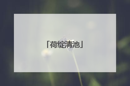 荷绽清池