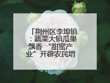荆州区李埠镇：蔬菜大镇瓜果飘香 “甜蜜产业”开辟农民增收“新赛道”