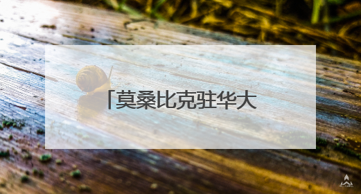 莫桑比克驻华大使：莫中是风雨同舟的铁杆兄弟