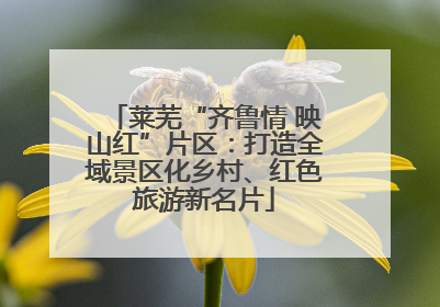 莱芜“齐鲁情 映山红”片区：打造全域景区化乡村、红色旅游新名片