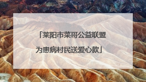 莱阳市菜哥公益联盟为患病村民送爱心款