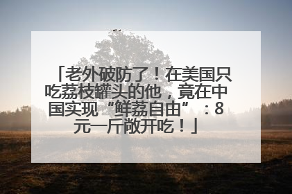 老外破防了！在美国只吃荔枝罐头的他，竟在中国实现“鲜荔自由”：8元一斤敞开吃！
