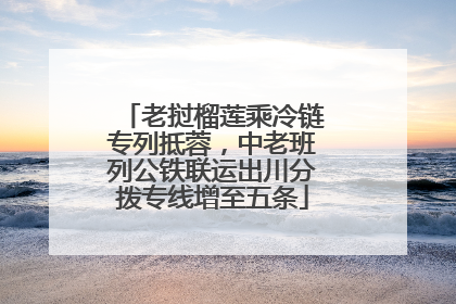 老挝榴莲乘冷链专列抵蓉，中老班列公铁联运出川分拨专线增至五条