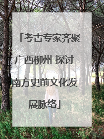 考古专家齐聚广西柳州 探讨南方史前文化发展脉络