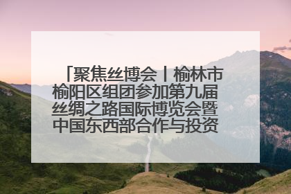 聚焦丝博会丨榆林市榆阳区组团参加第九届丝绸之路国际博览会暨中国东西部合作与投资贸易洽谈会
