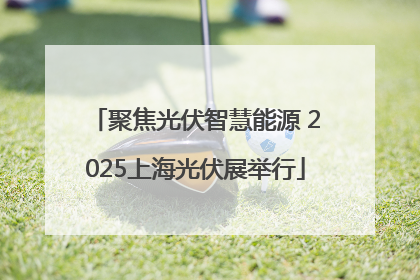 聚焦光伏智慧能源 2025上海光伏展举行