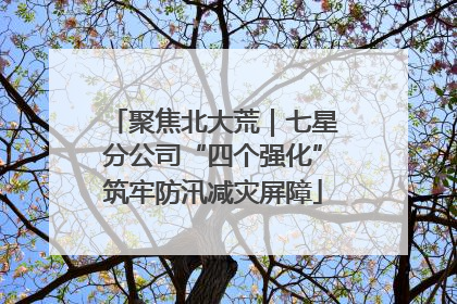聚焦北大荒｜七星分公司“四个强化”筑牢防汛减灾屏障