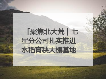 聚焦北大荒｜七星分公司扎实推进水稻育秧大棚基地清理整治工作