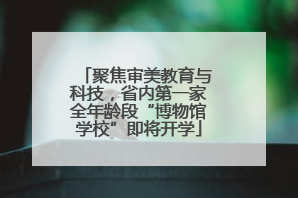 聚焦审美教育与科技，省内第一家全年龄段“博物馆学校”即将开学