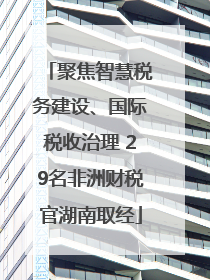 聚焦智慧税务建设、国际税收治理 29名非洲财税官湖南取经