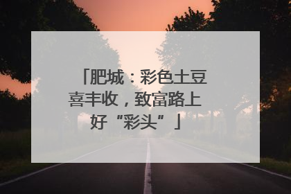 肥城：彩色土豆喜丰收，致富路上好“彩头”