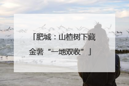 肥城：山楂树下藏金薯“一地双收”
