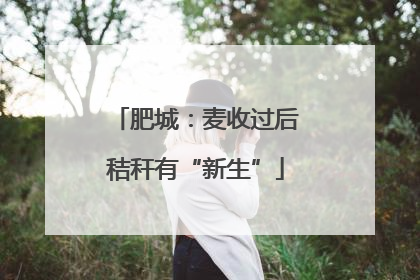 肥城：麦收过后秸秆有“新生”