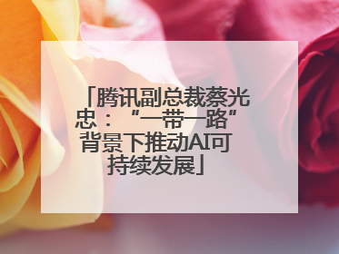 腾讯副总裁蔡光忠：“一带一路”背景下推动AI可持续发展