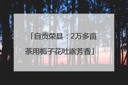 自贡荣县：2万多亩茶用栀子花吐露芳香
