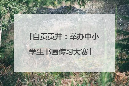 自贡贡井：举办中小学生书画传习大赛