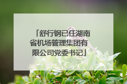 舒行钢已任湖南省机场管理集团有限公司党委书记