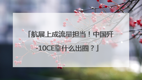 航展上成流量担当！中国歼-10CE靠什么出圈？