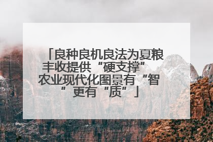 良种良机良法为夏粮丰收提供“硬支撑” 农业现代化图景有“智”更有“质”