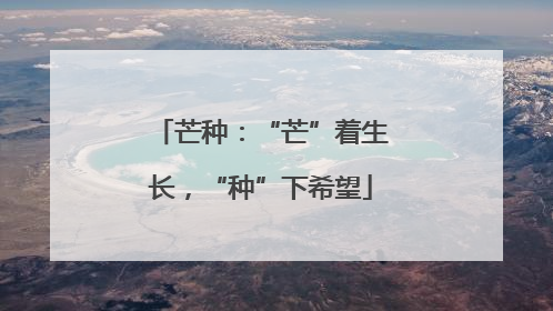 芒种：“芒”着生长，“种”下希望