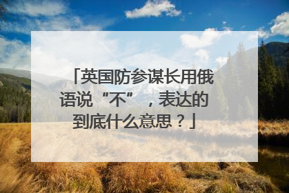 英国防参谋长用俄语说“不”，表达的到底什么意思？
