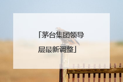 茅台集团领导层最新调整