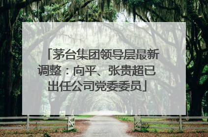 茅台集团领导层最新调整：向平、张贵超已出任公司党委委员