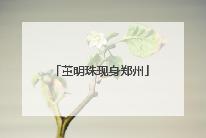 董明珠现身郑州