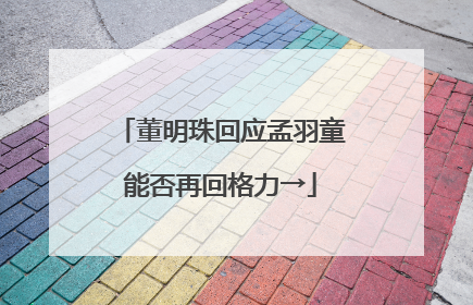 董明珠回应孟羽童能否再回格力→
