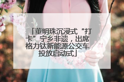 董明珠沉浸式“打卡”宁乡非遗，出席格力钛新能源公交车投放启动式