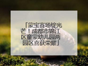 蒙宝赛场绽光芒！成都市锦江区童蒙幼儿园两园区喜获荣耀